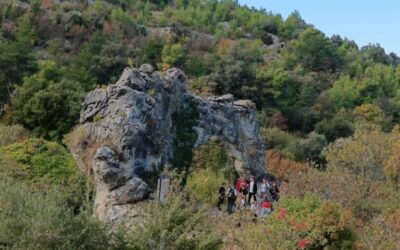 Terenska nastava u Nerežišćima