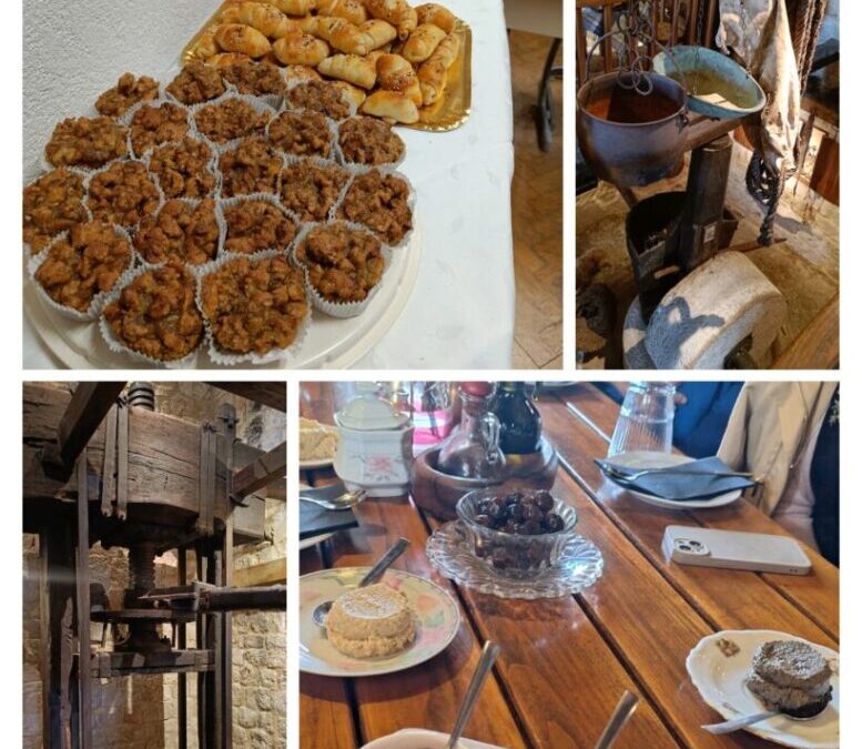 Županijski stručni skup nastavnika geografije na Braču