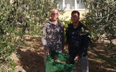 Mladi voćari i maslinari