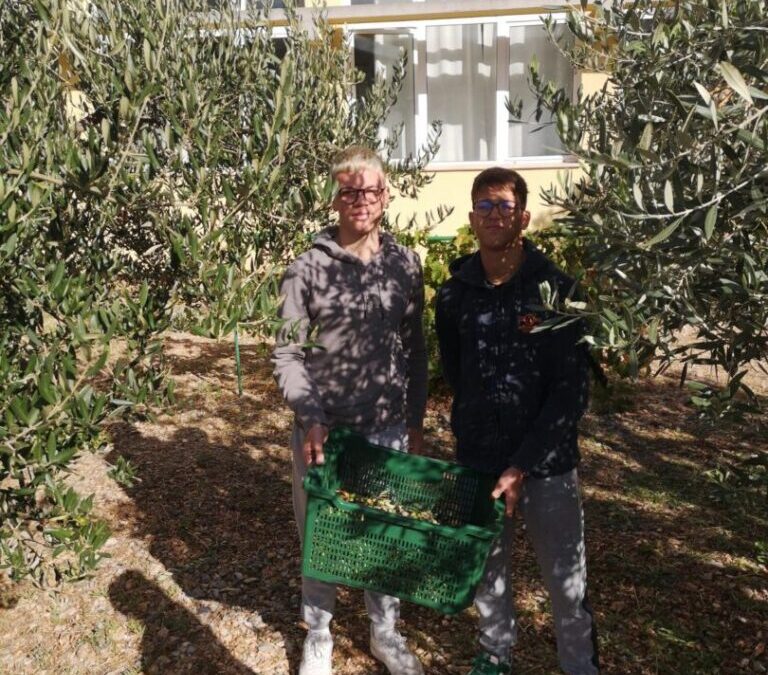 Mladi voćari i maslinari