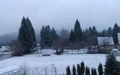 Škola u prirodi – 2.dan